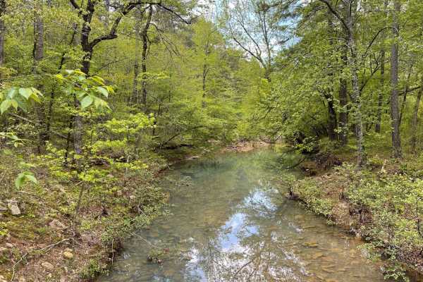Scenic Richmond Road