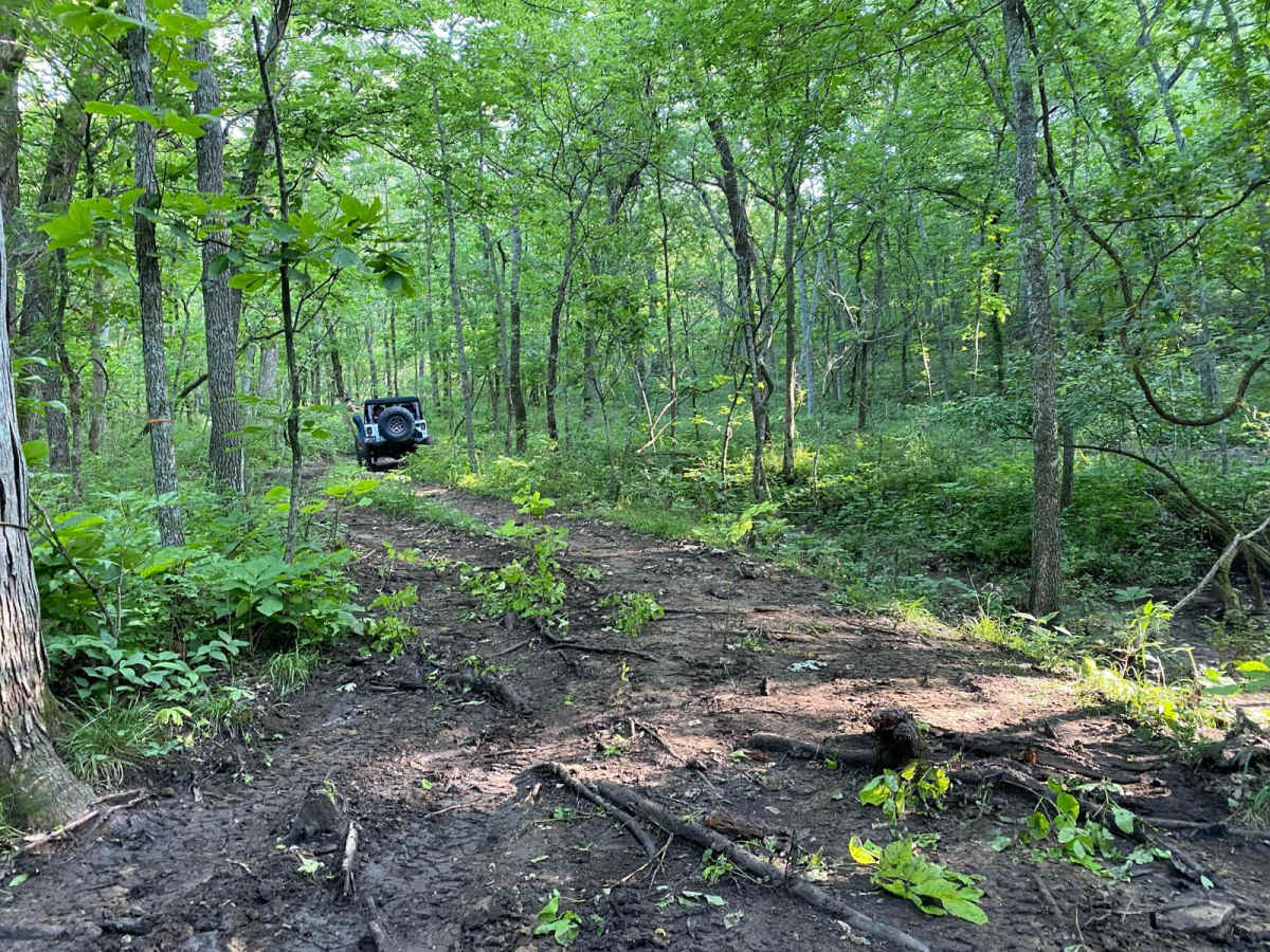 Copperhead photo 5