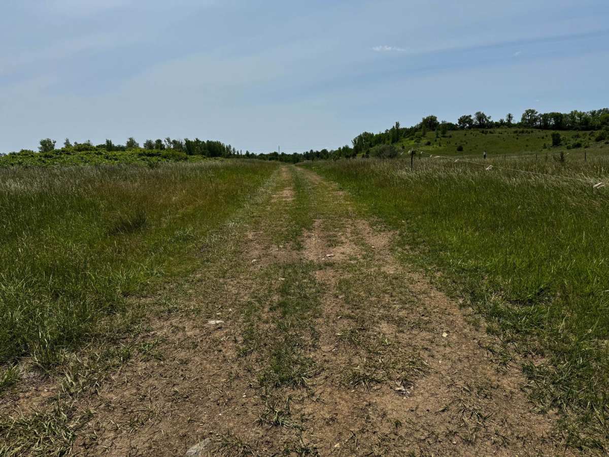 Green 7 Boundary Run photo 2