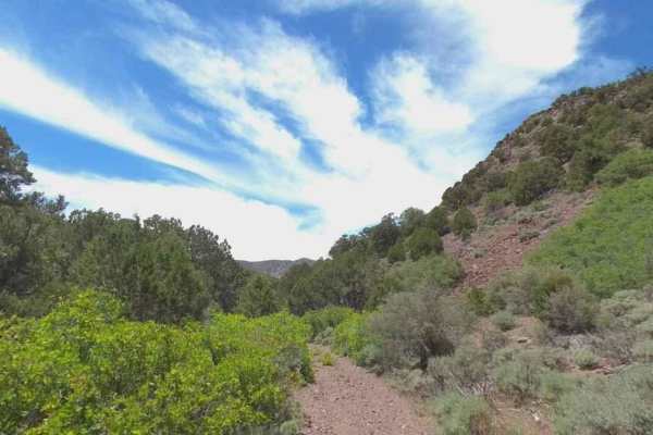 Chloride Canyon