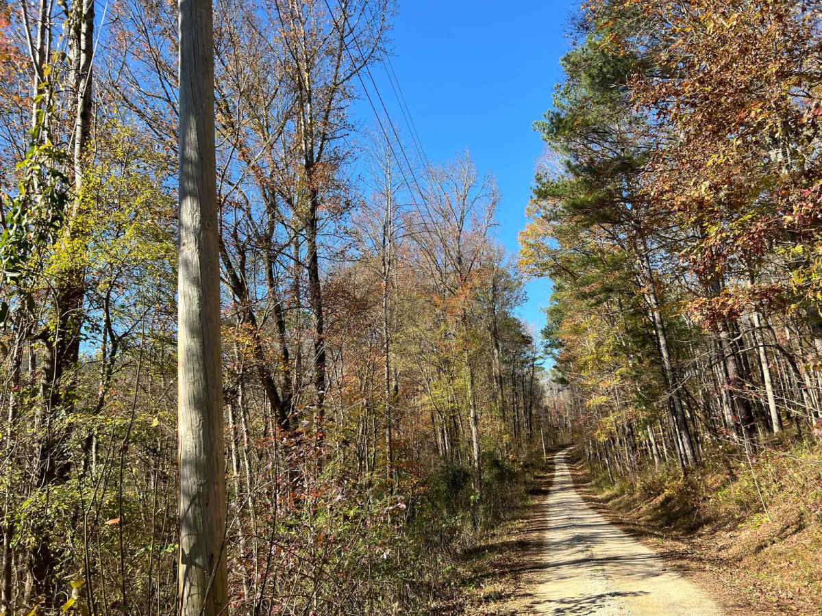 Indian Tomb Hollow Road photo 6