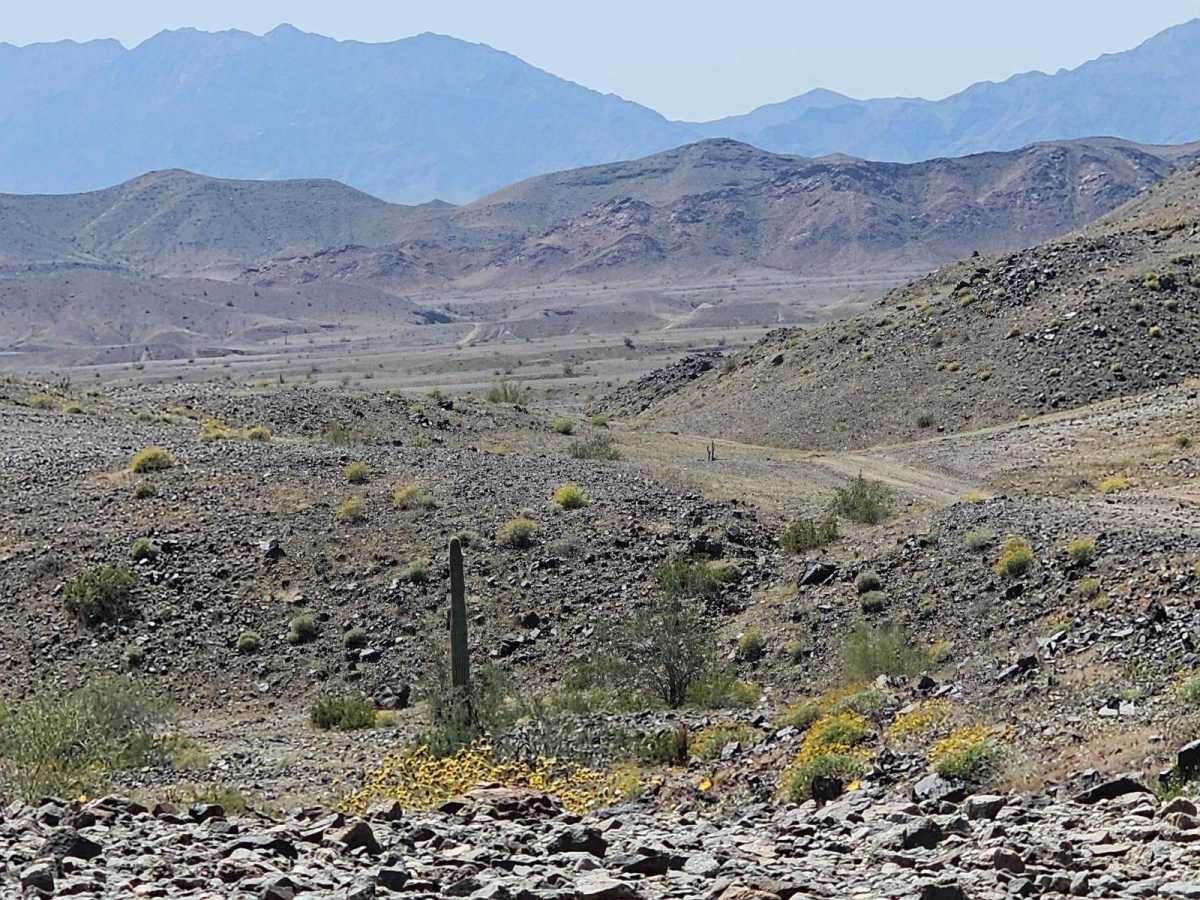 Metal Masher Boulder Wash Spur trail photo