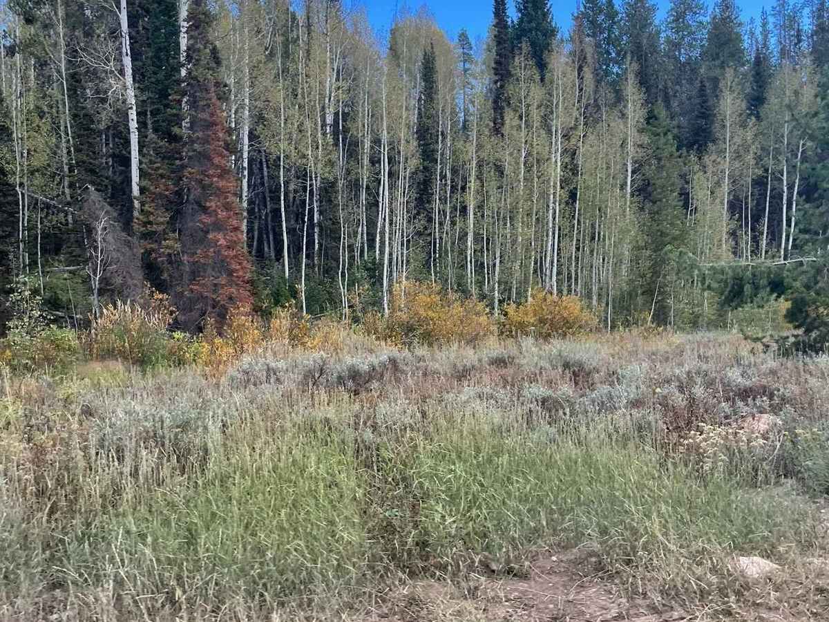 C-46 Plane Crash Site photo 3