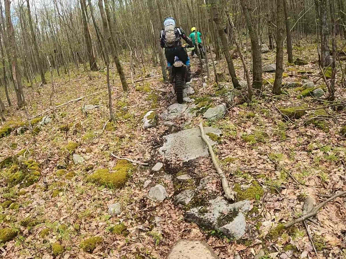 Mountain Ridge ATV Park Singletrack D photo 2