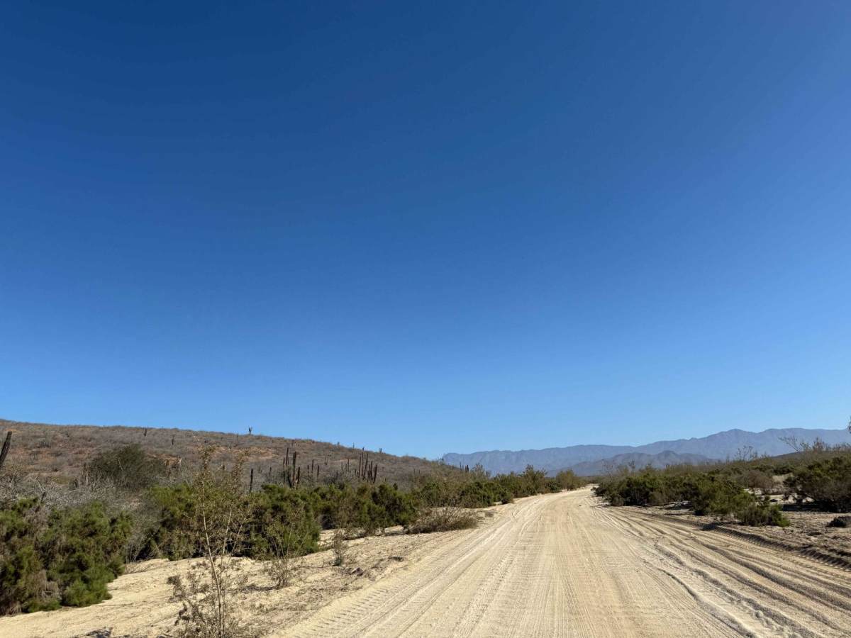Camino De San Pedrito photo 3