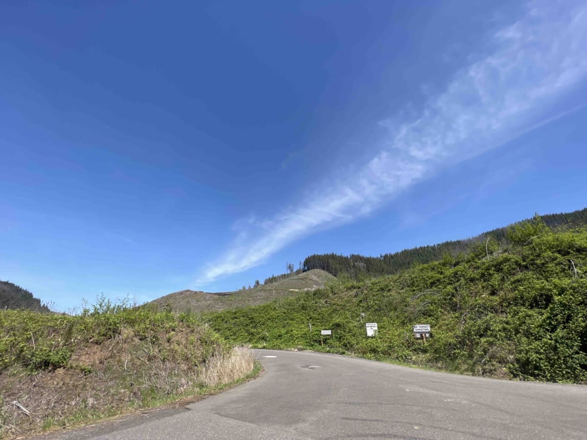National Forest Development Road 4610 photo 2