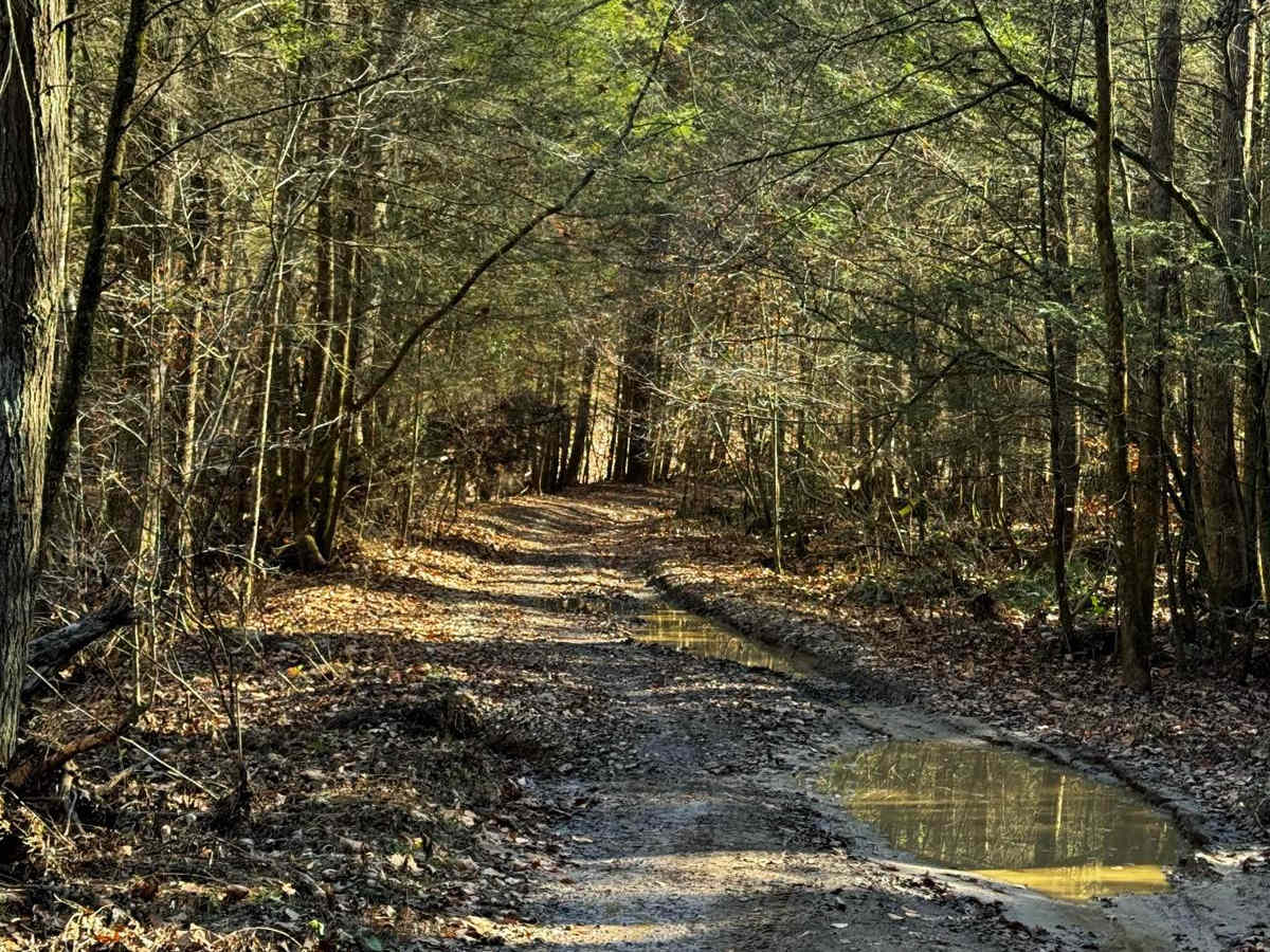 Clifton Ridge Road trail photo