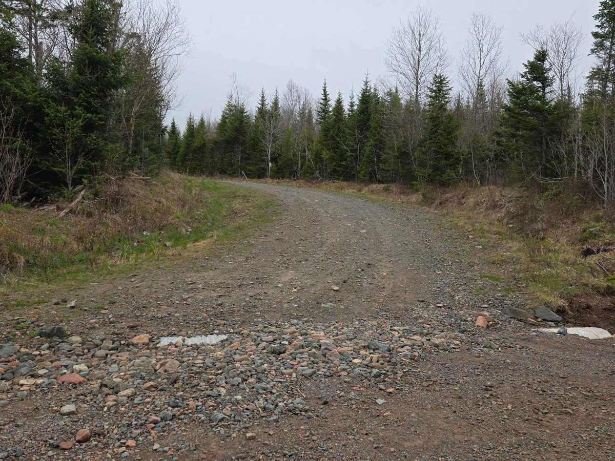 Totten Meadow Trail trail photo