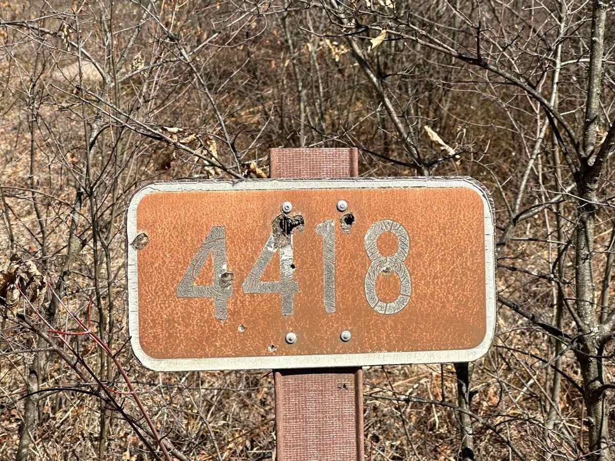 FS 4418 trail photo