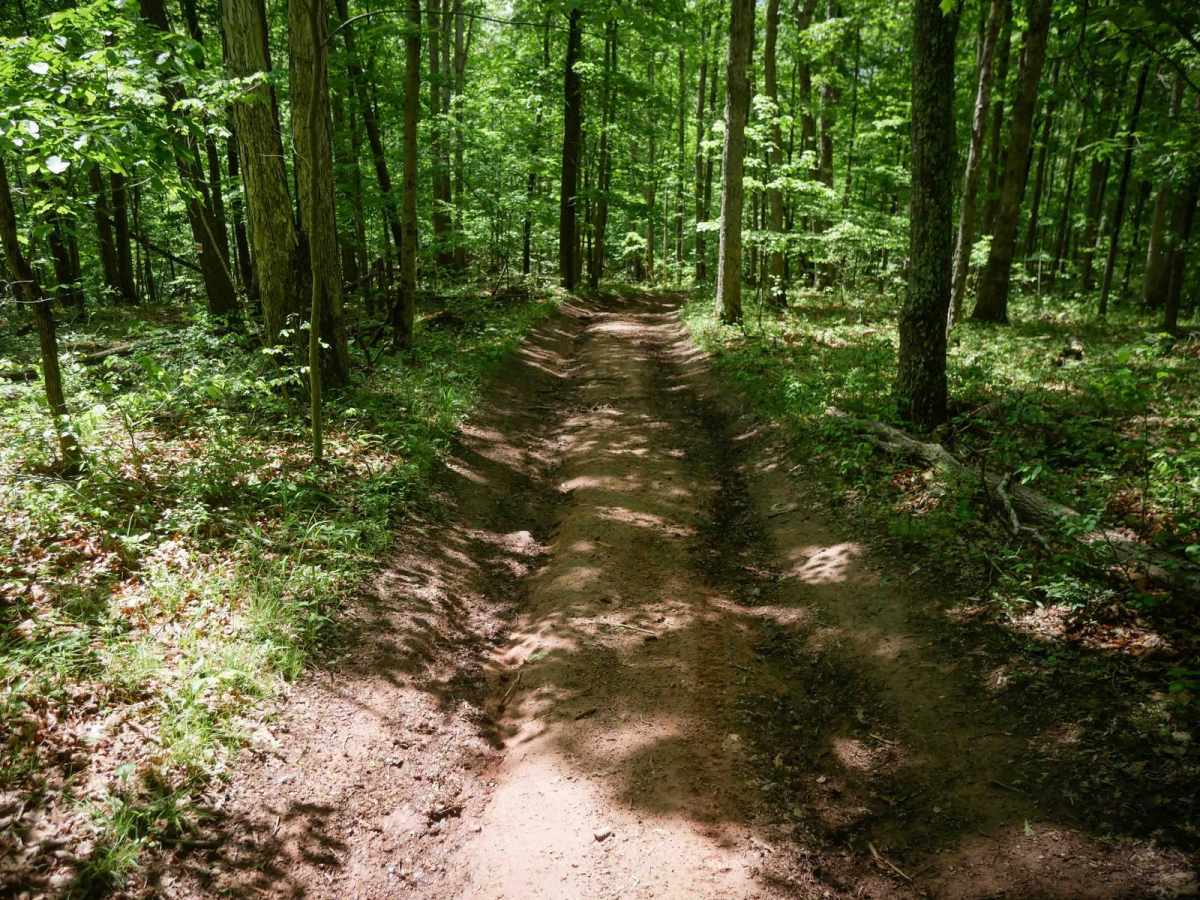Trail 5 photo 3