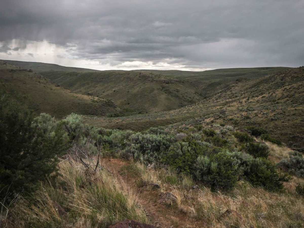 Matt's Gulch photo 5