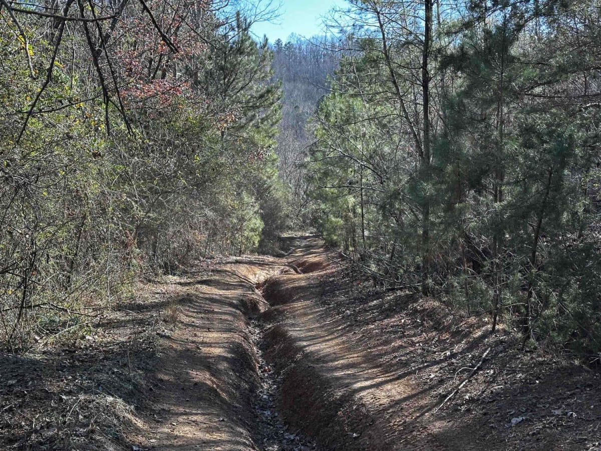 407 trail photo