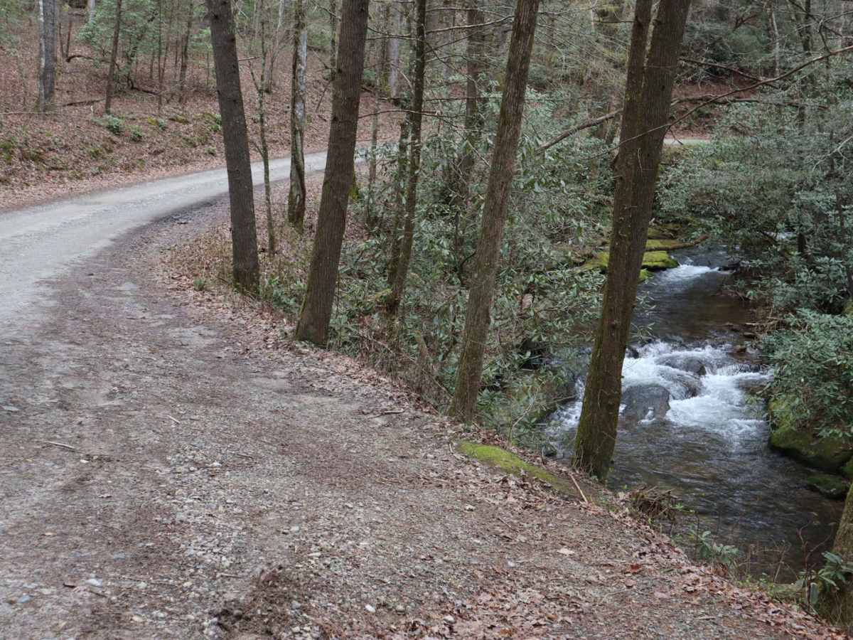 Boggs Creek photo 6