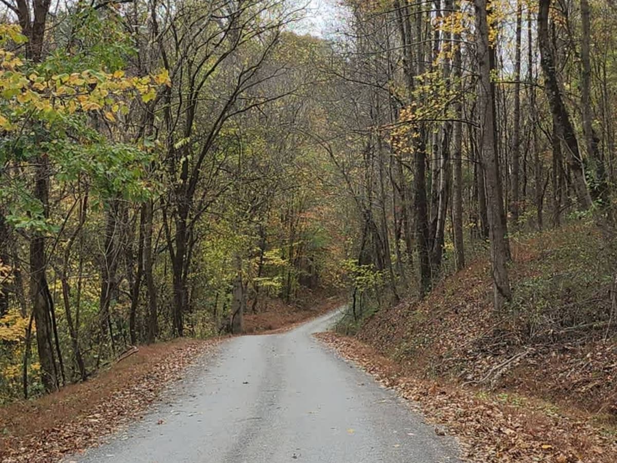 Sullivan Hollow Road - Macon County Tour photo 6
