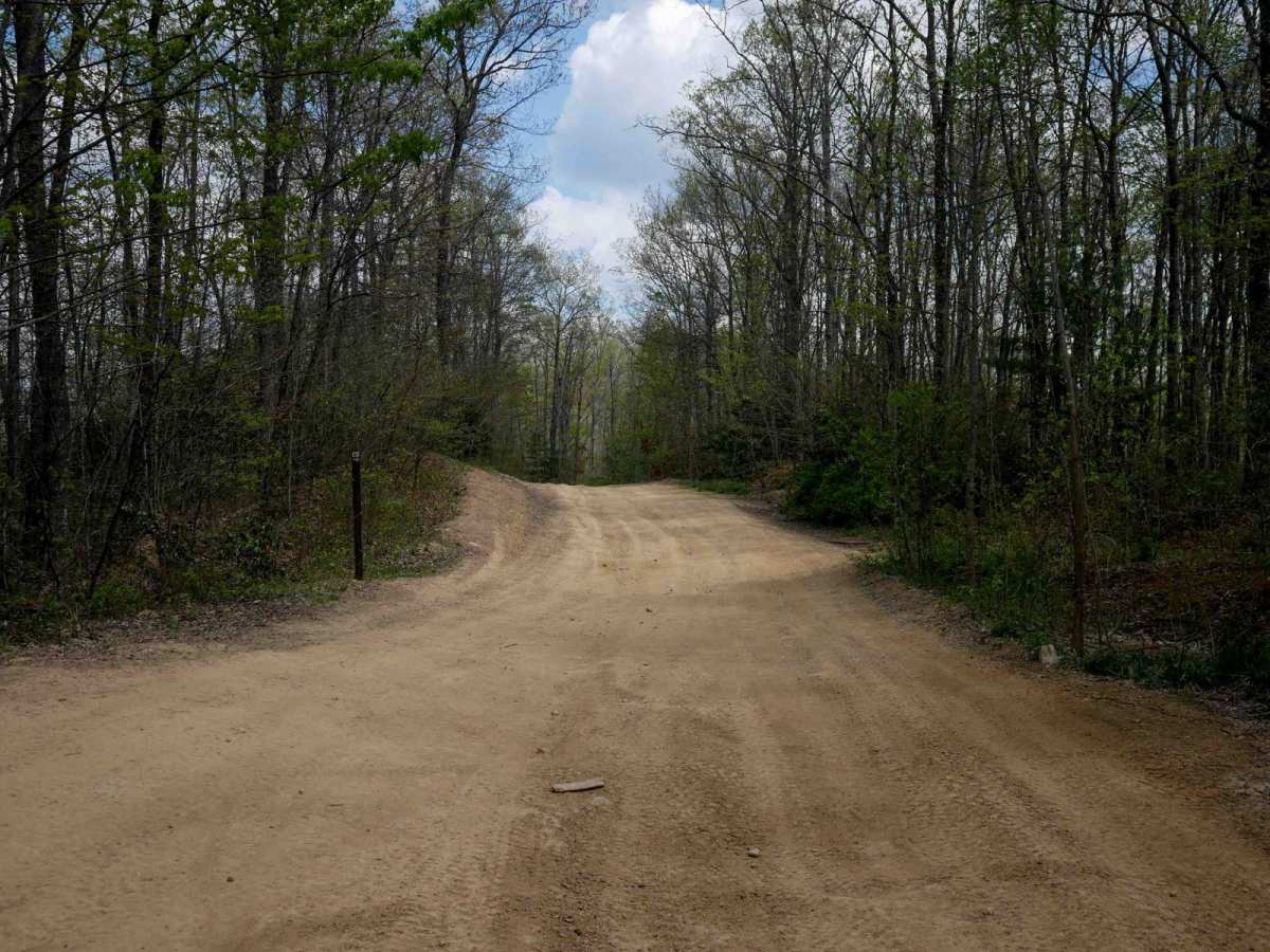 P16 trail photo