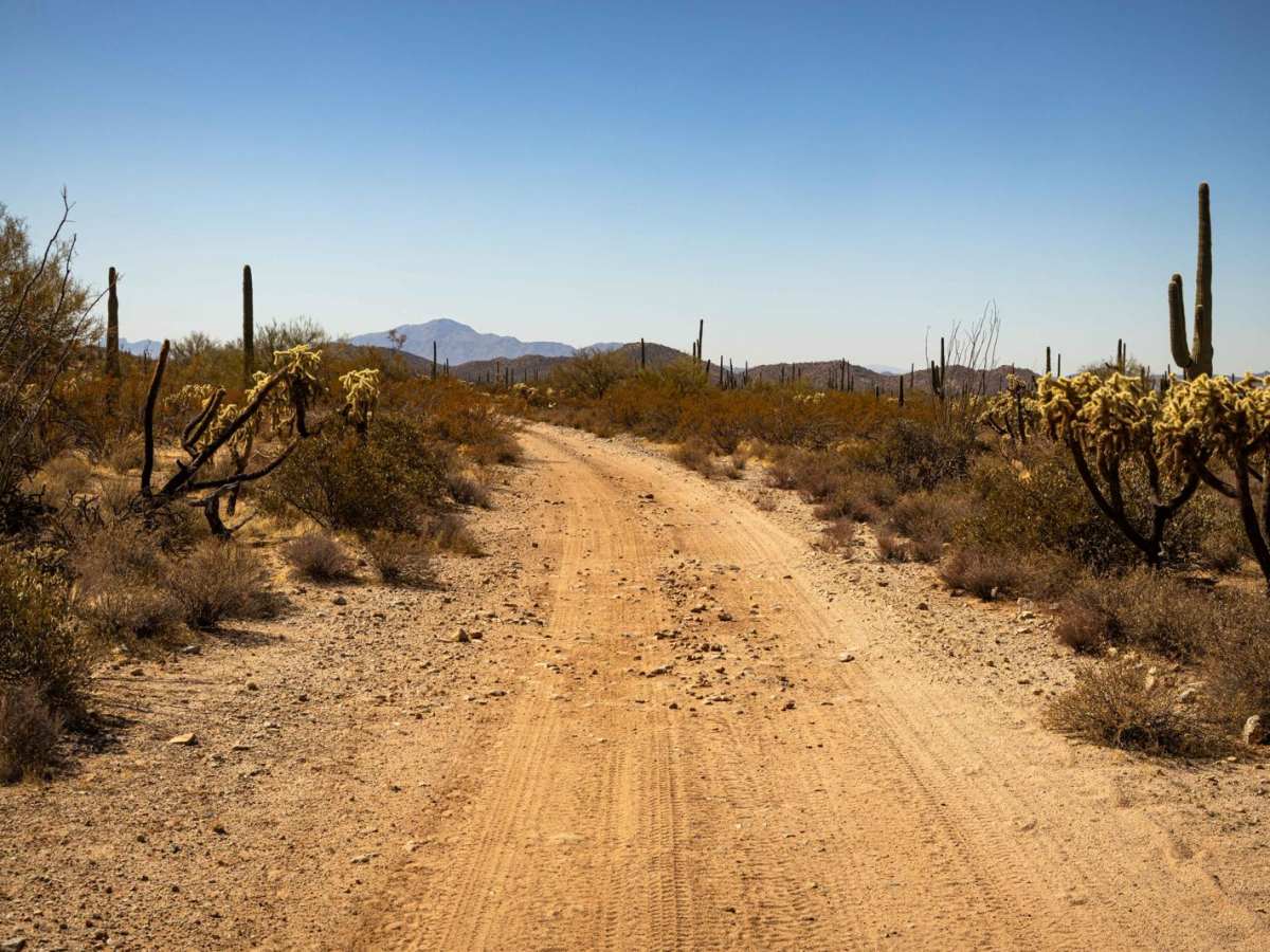 Paisano's Pathway photo 6