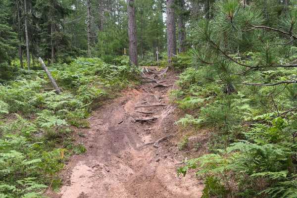 Pine Ridge Trail