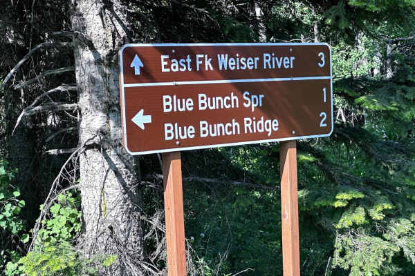 Blue Bunch Ridge