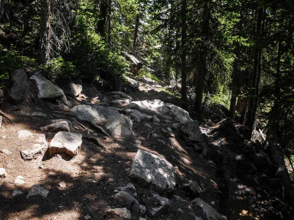 Taylor Divide photo 6