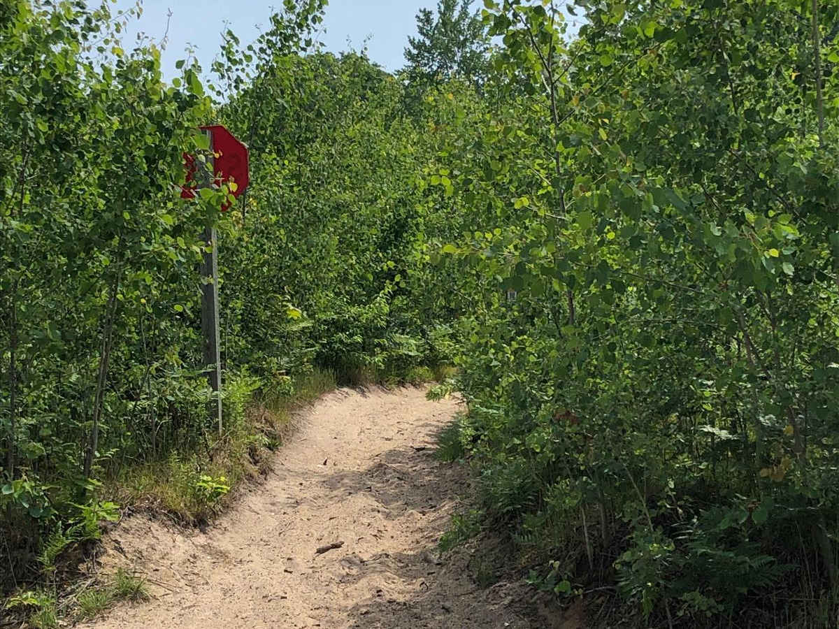MCCCT - 66 to North 7 Mile photo 4