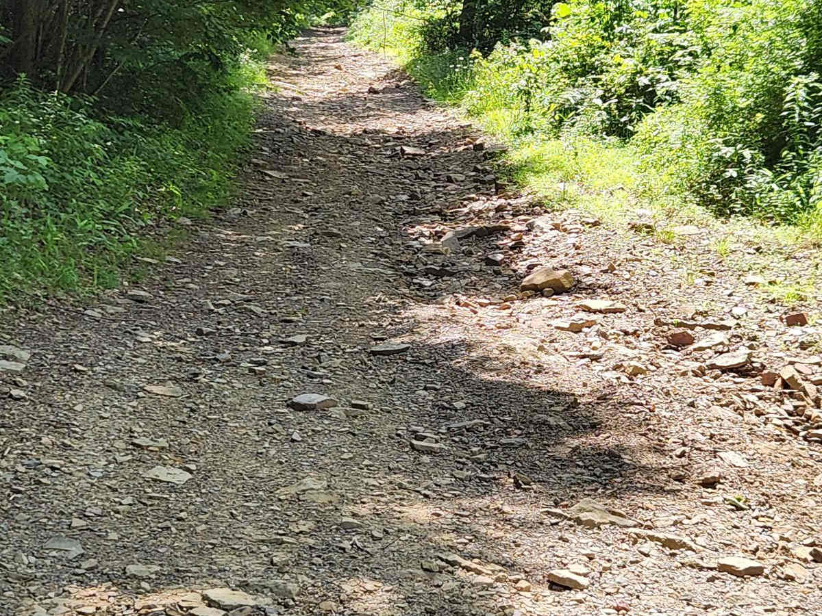 Trail 6 - Rock Run Recreation Area photo 4
