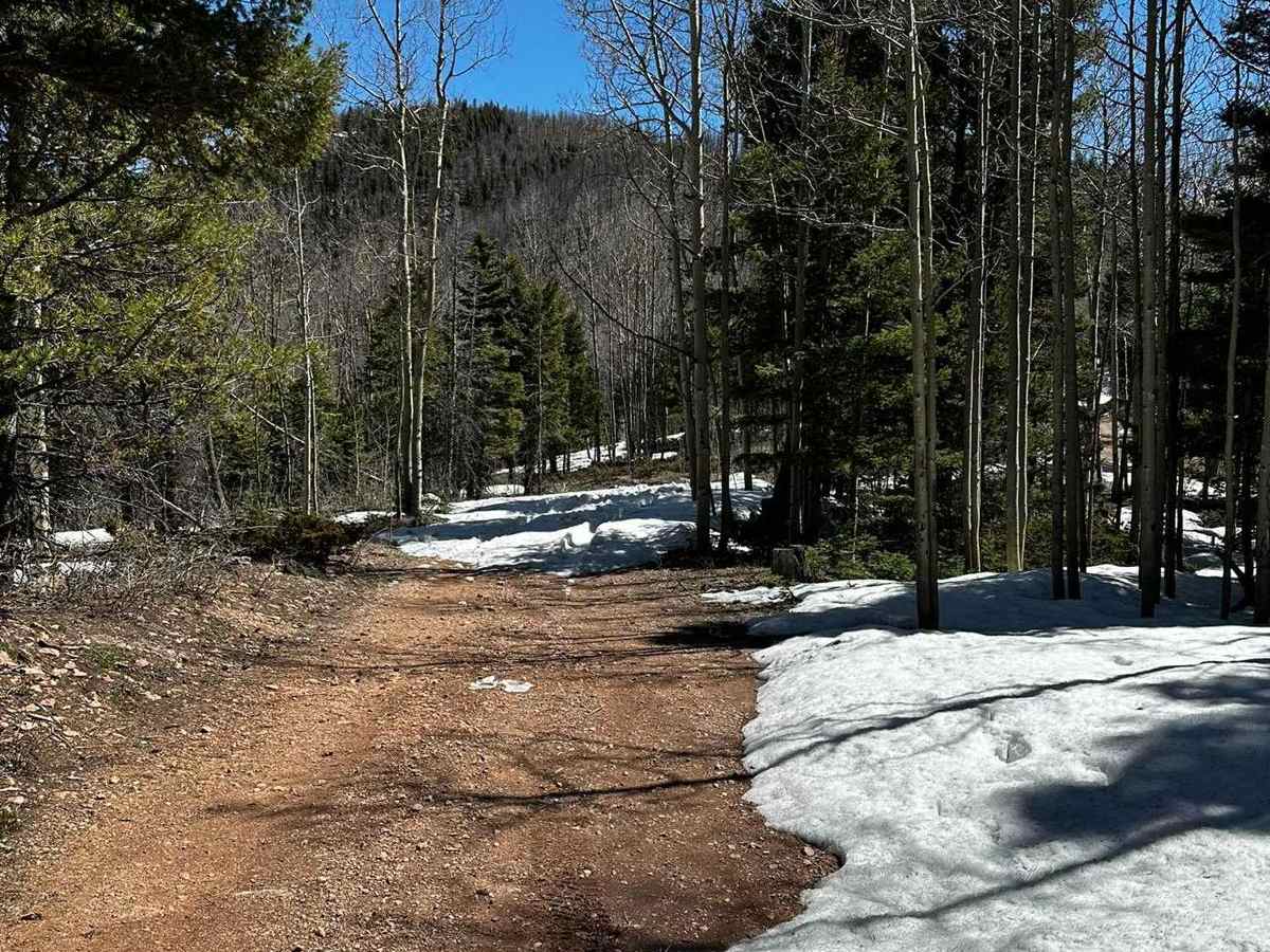 Roundtop Mountain Road - 321 photo 4