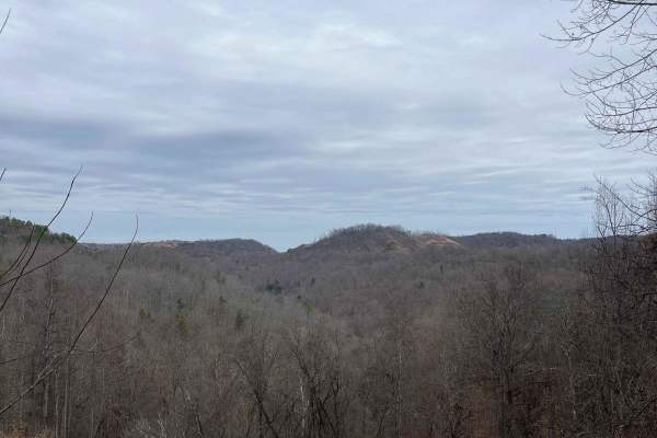 Trail 31