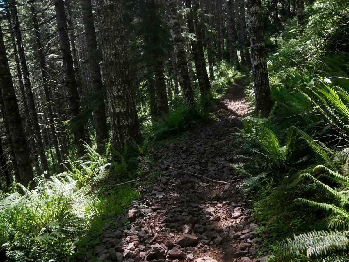 Tri Loop #111 photo 3
