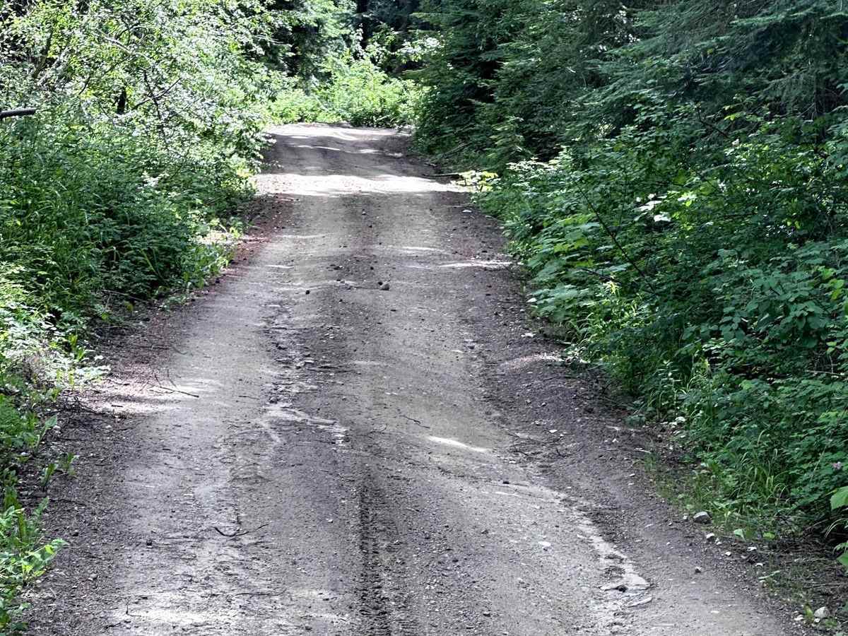 Eagle Creek Road photo 4