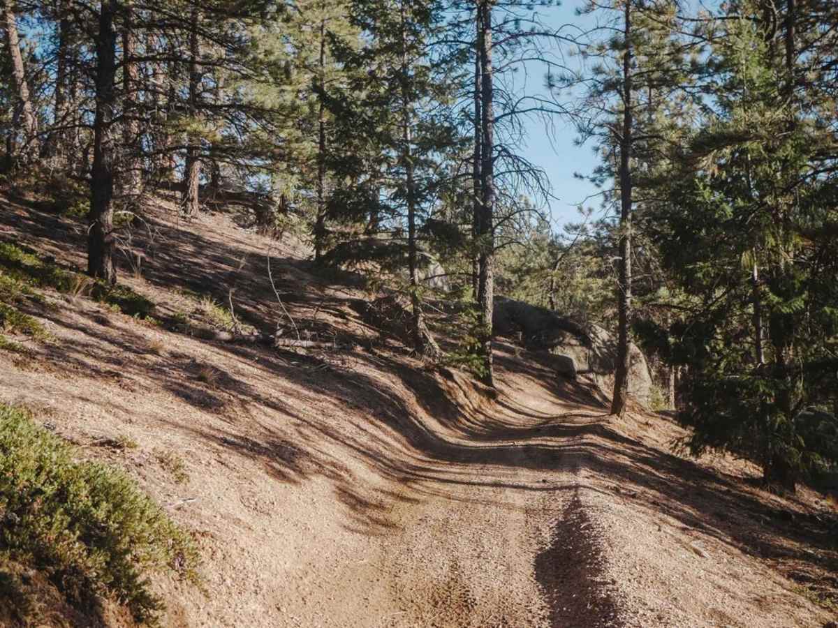 787 ATV Trail photo 3