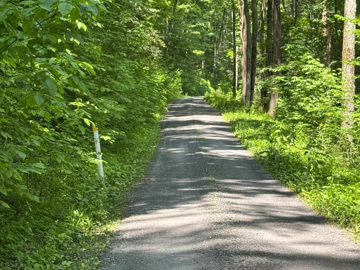 Hyner Run Road photo 5