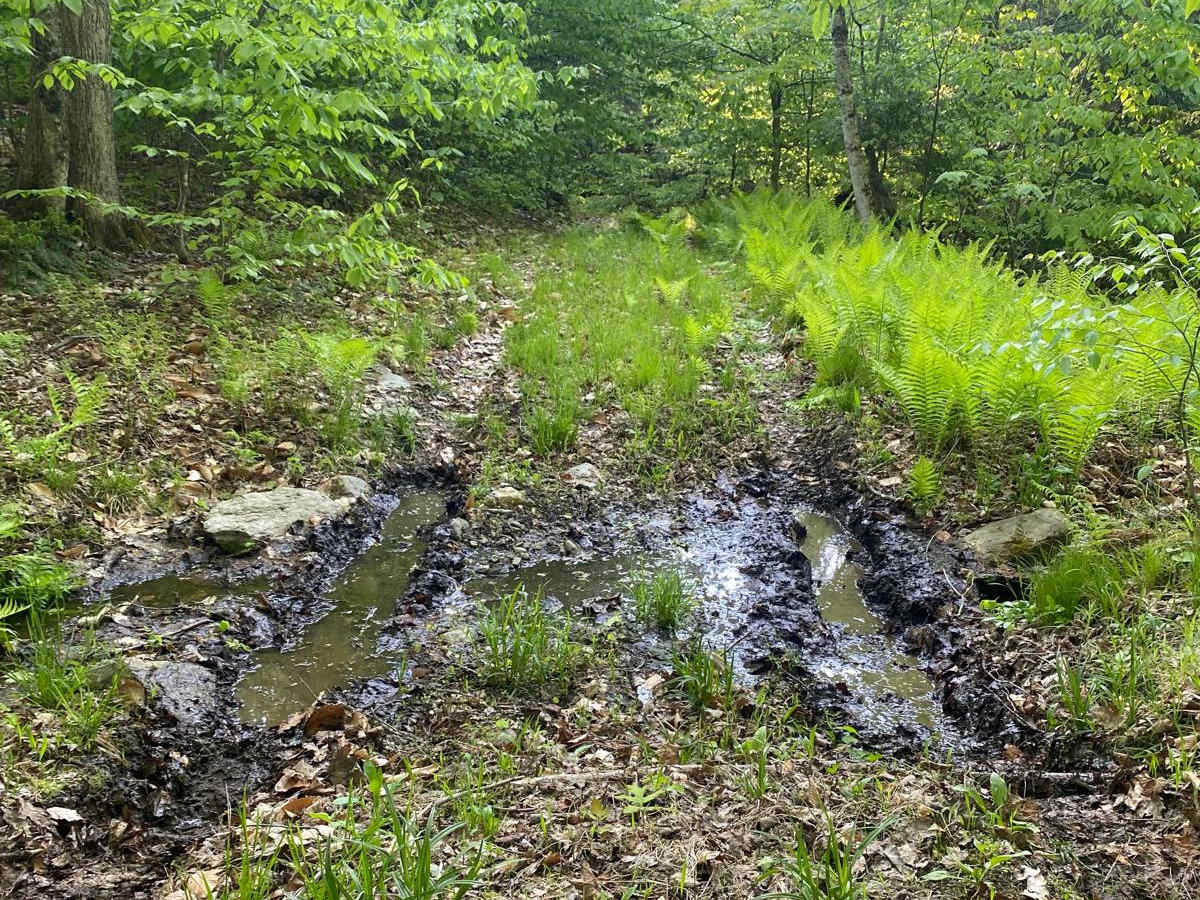 Farnum Road photo 6
