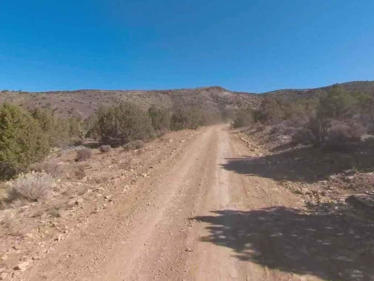 Seegmiller Mountain Road BLM 1020 photo 2