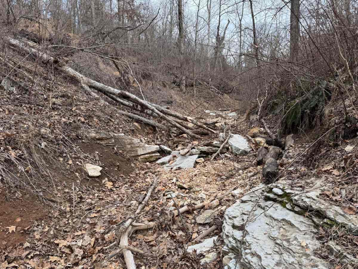 Chicken Trail 439 photo 6