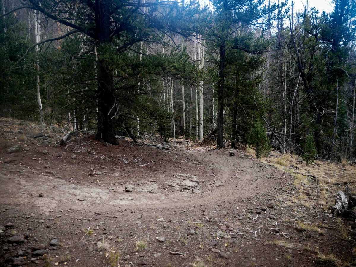 La Garita Creek ATV photo 5