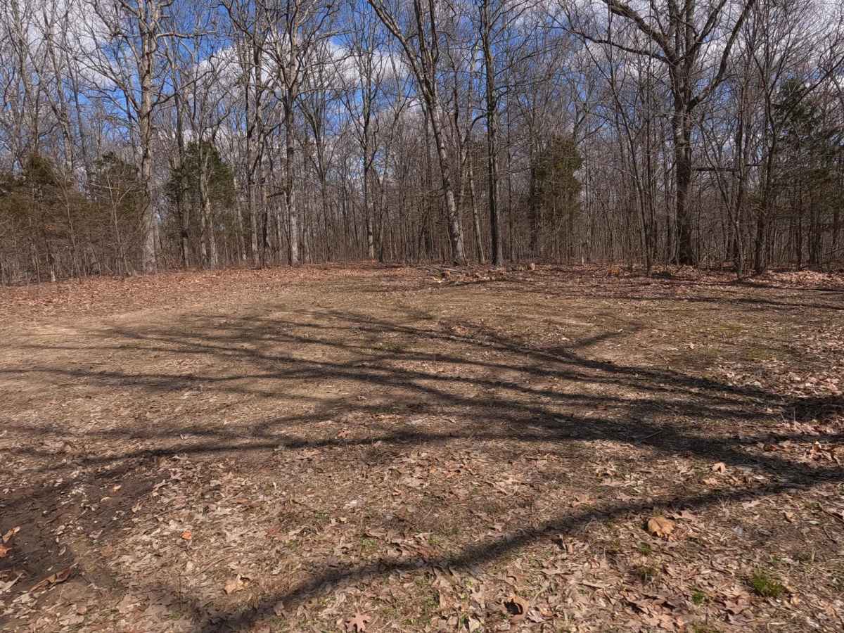 Johns Creek FSR 2170 photo 5
