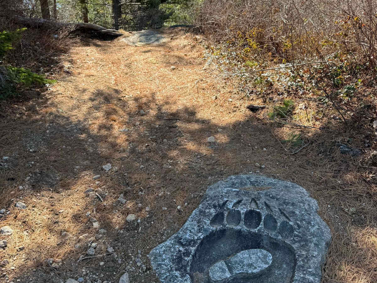 South River Lake Trail photo 6