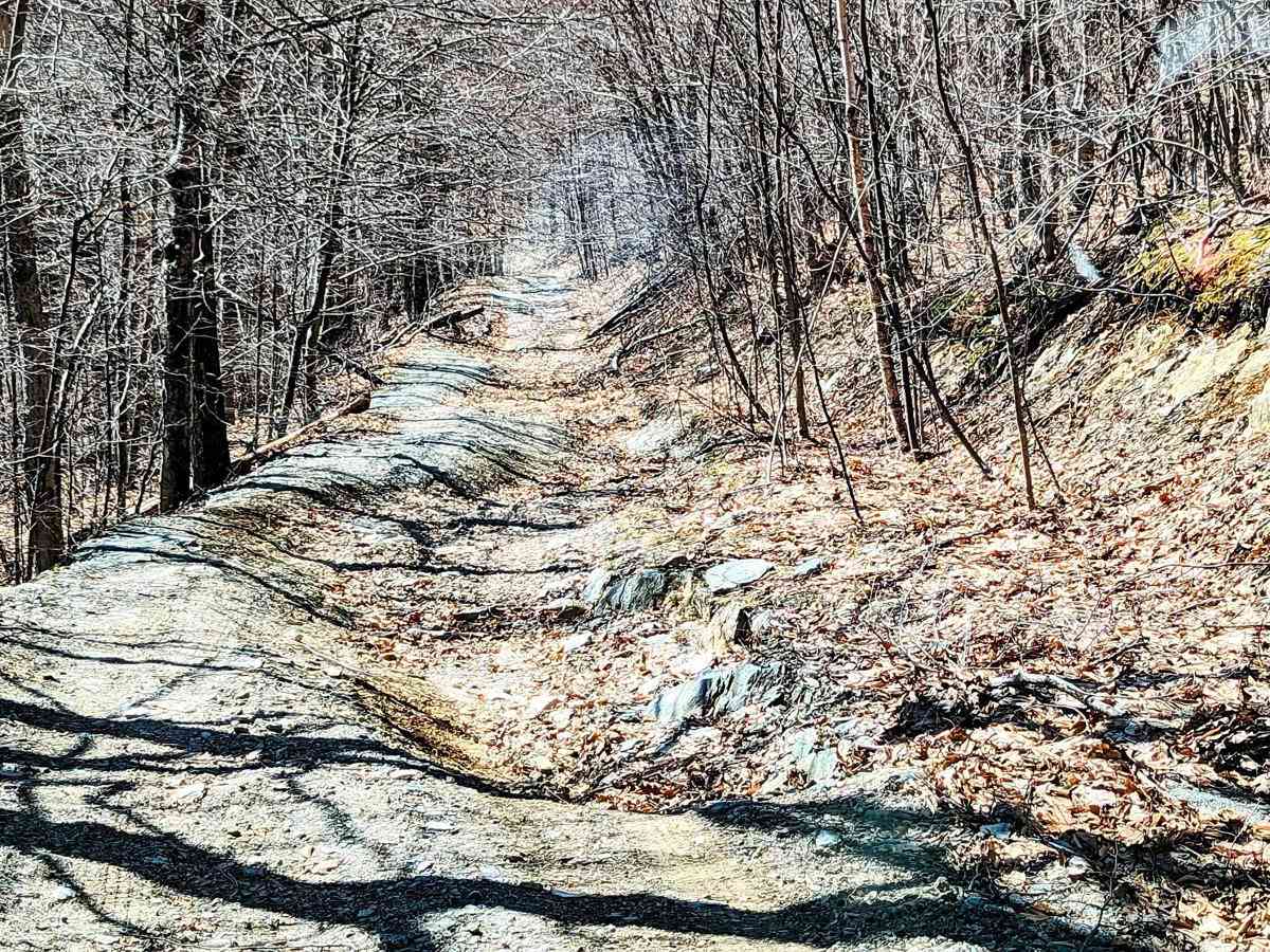 Rounds Mountain DEC Access Road trail photo