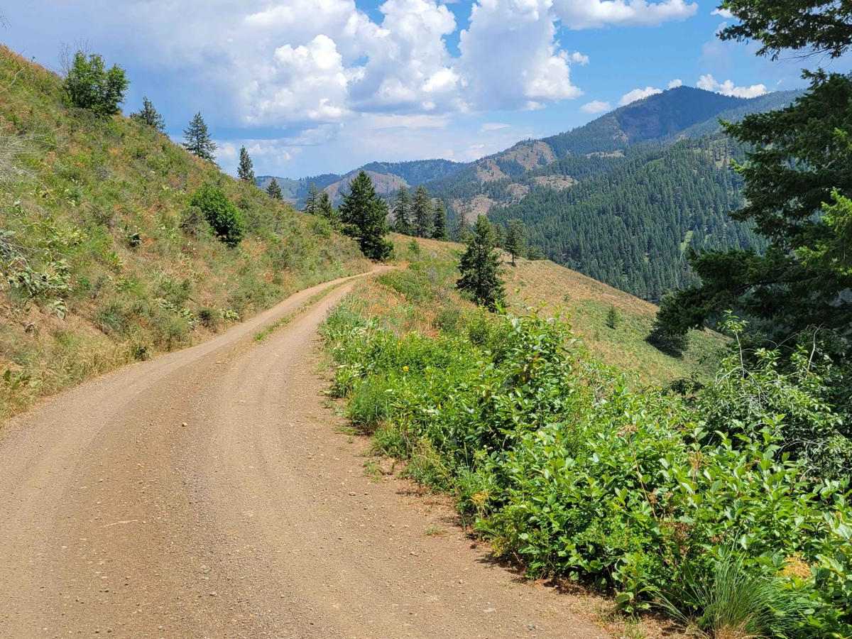 Poorman Creek Road (NF 4300300) photo 5