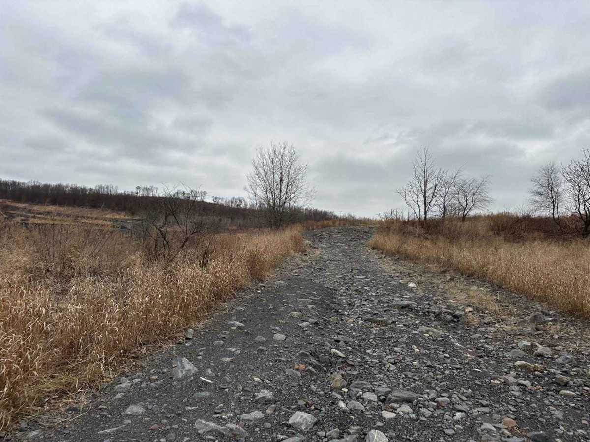 Marion Bridge Trail photo 6