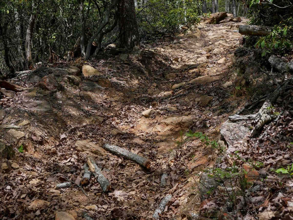 Rattlesnake Trail A photo 2