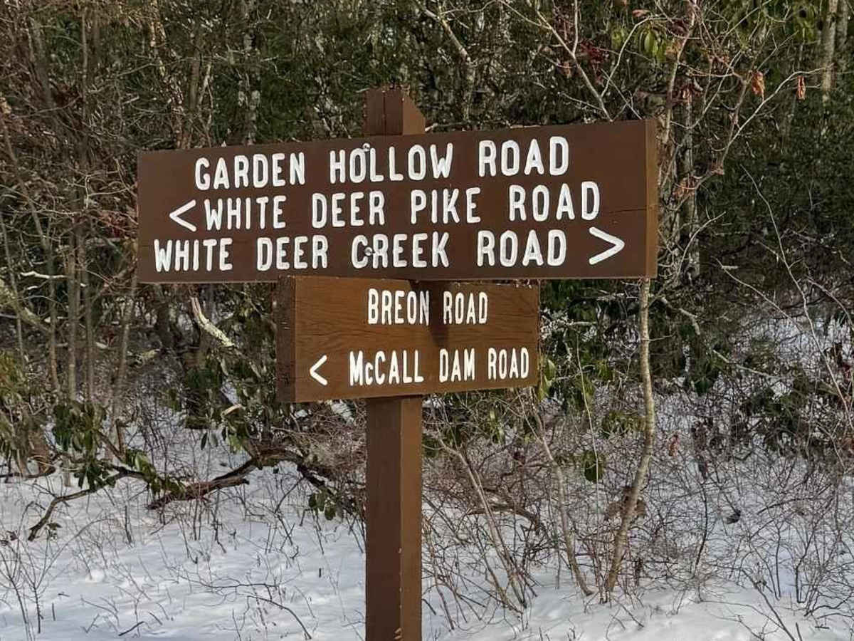 Garden Hollow Road photo 3