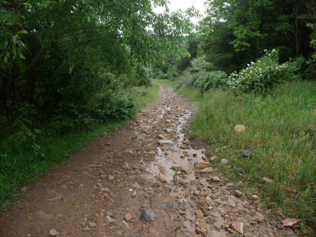 CC6 trail photo