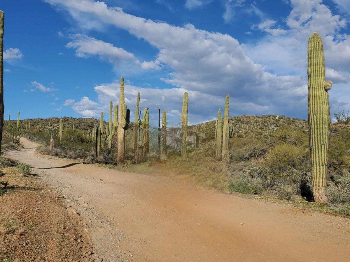 Hieroglyphic Mountain Loop photo 6