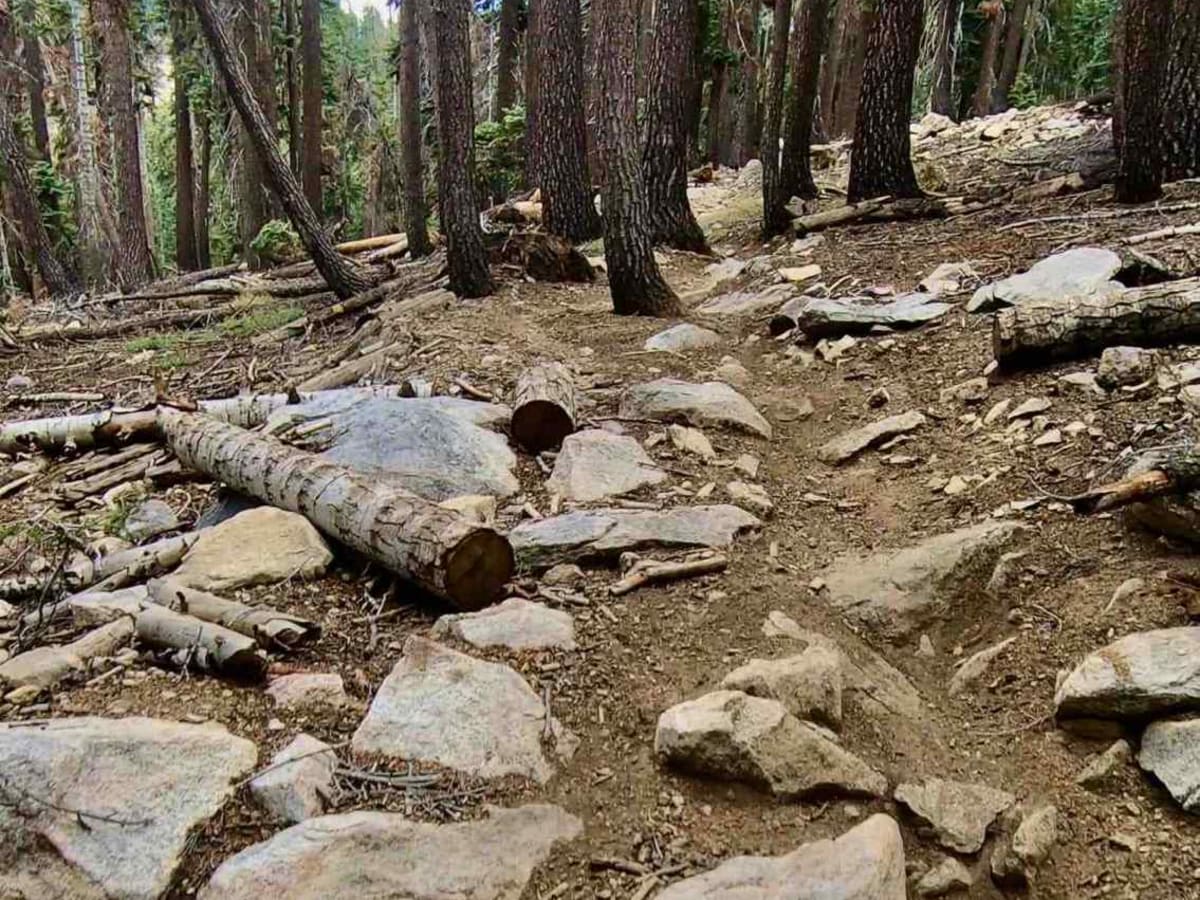 Sherman Pass photo 5