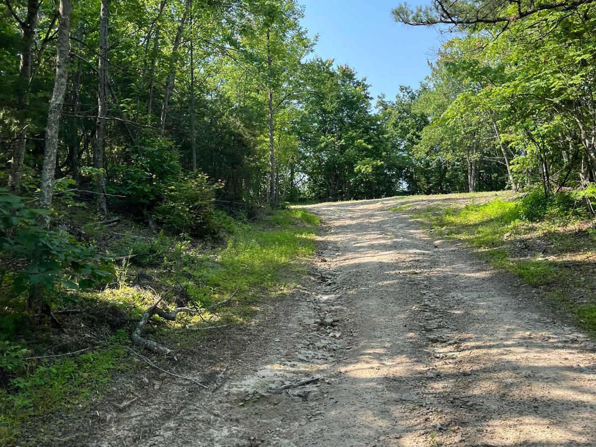 Trail 5 photo 4