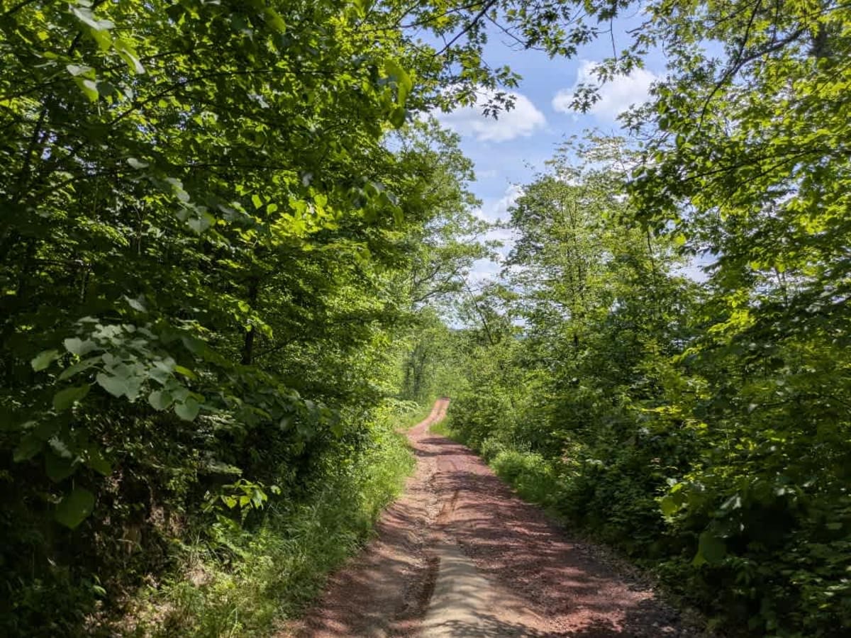 Crooked Lake Road photo 2
