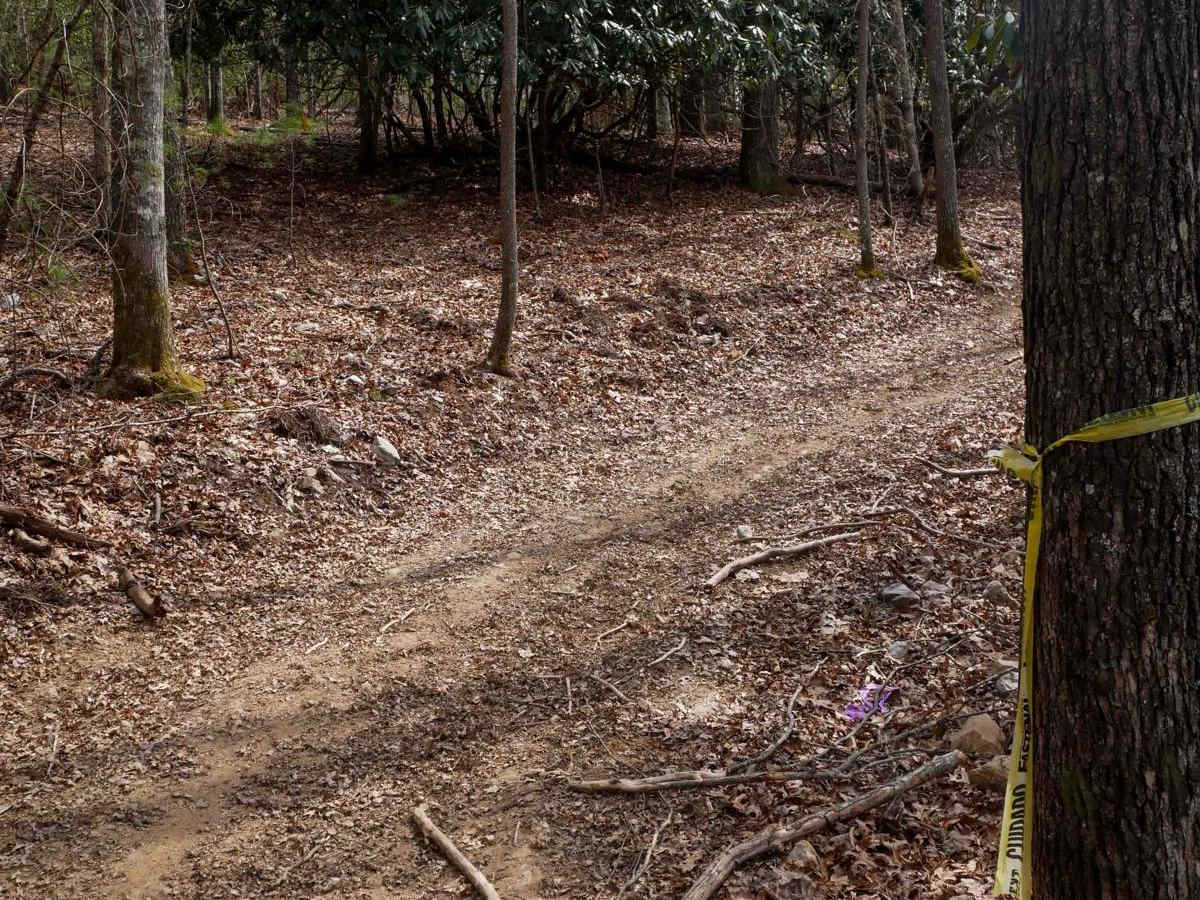 Y2 trail photo