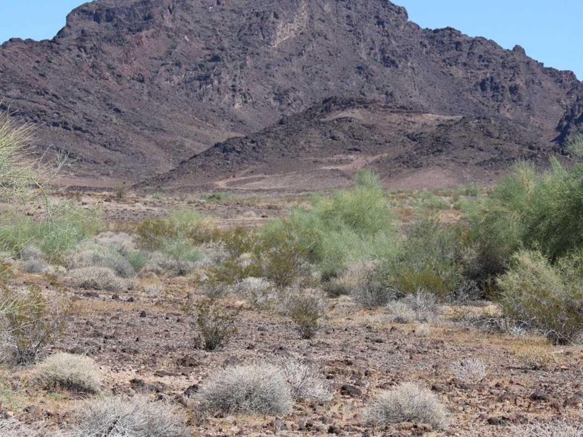 Savahia Peak Mines photo 6
