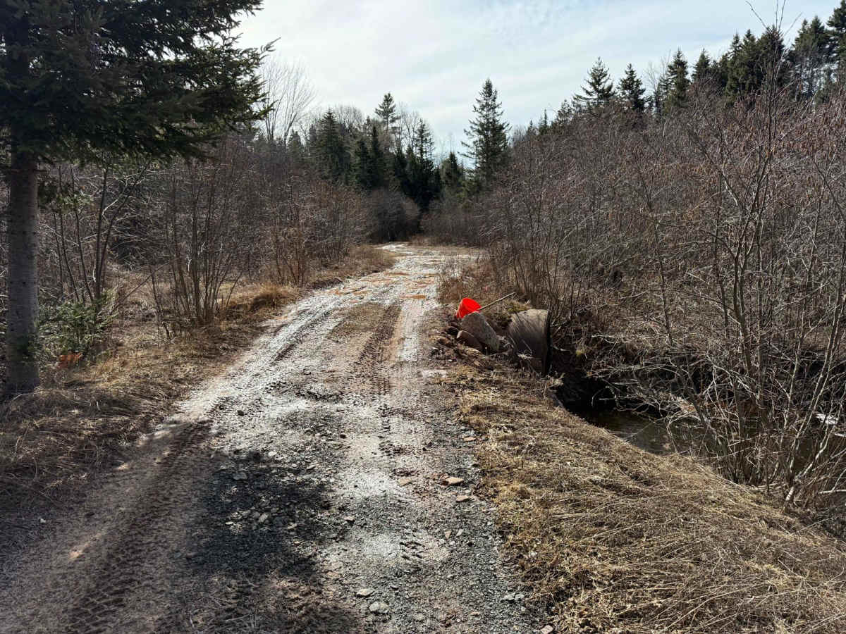 Mill Road photo 5